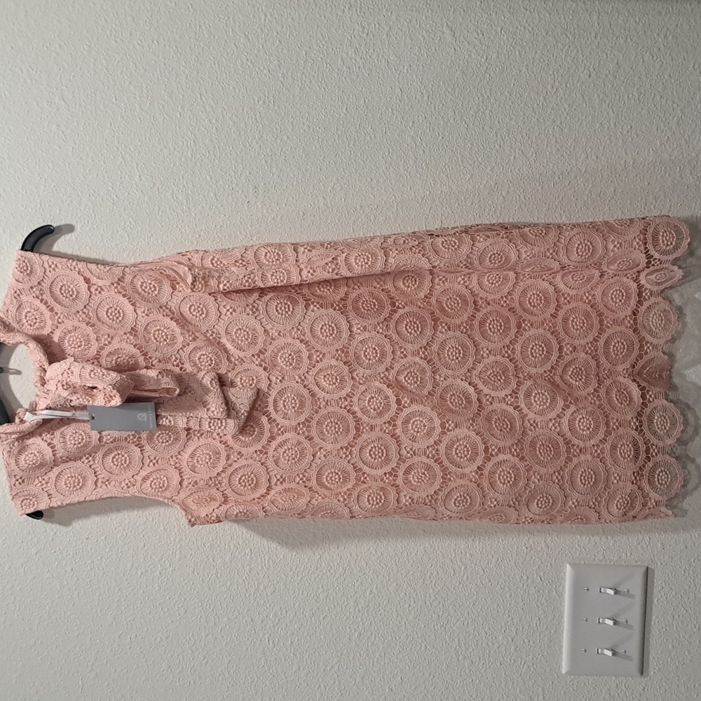 Preston & York Blush Lace Dress - Picture 5 of 9